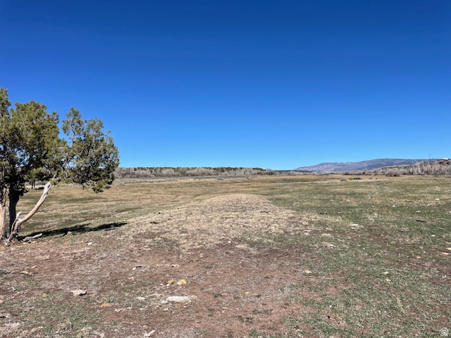 17464 W 3750 N Altamont, UT 84001