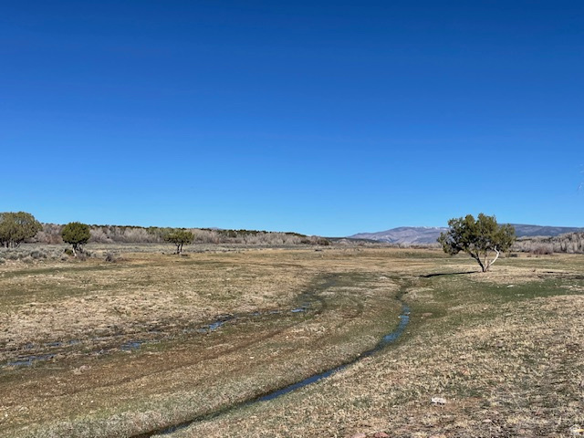 17464 W 3750 N Altamont, UT 84001