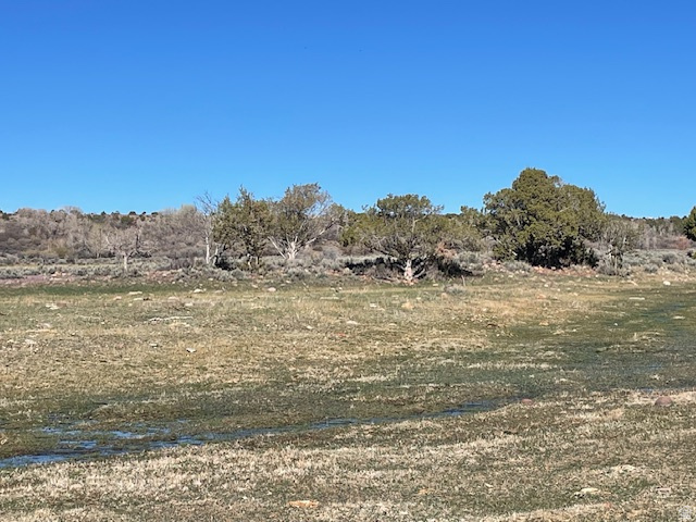 17464 W 3750 N Altamont, UT 84001