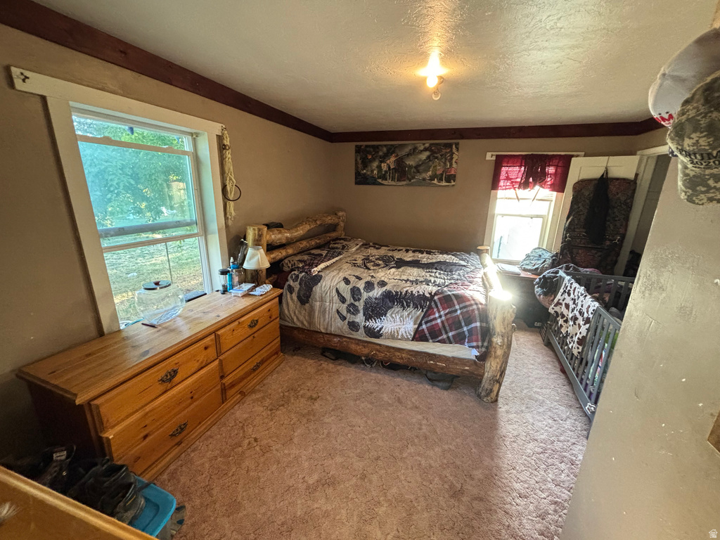 102 S MAIN ST Paris, ID 83261