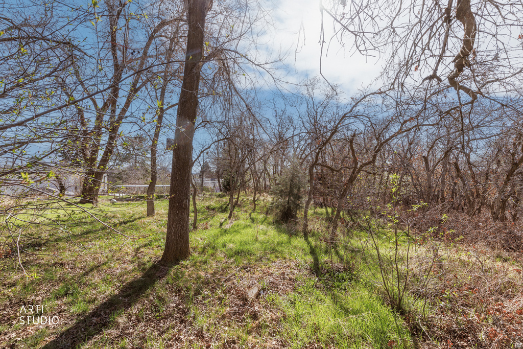 2873 E PAMELA DR Cottonwood Heights, UT 84121