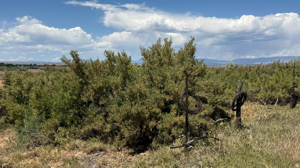 862 S 2500 E Roosevelt, UT 84066