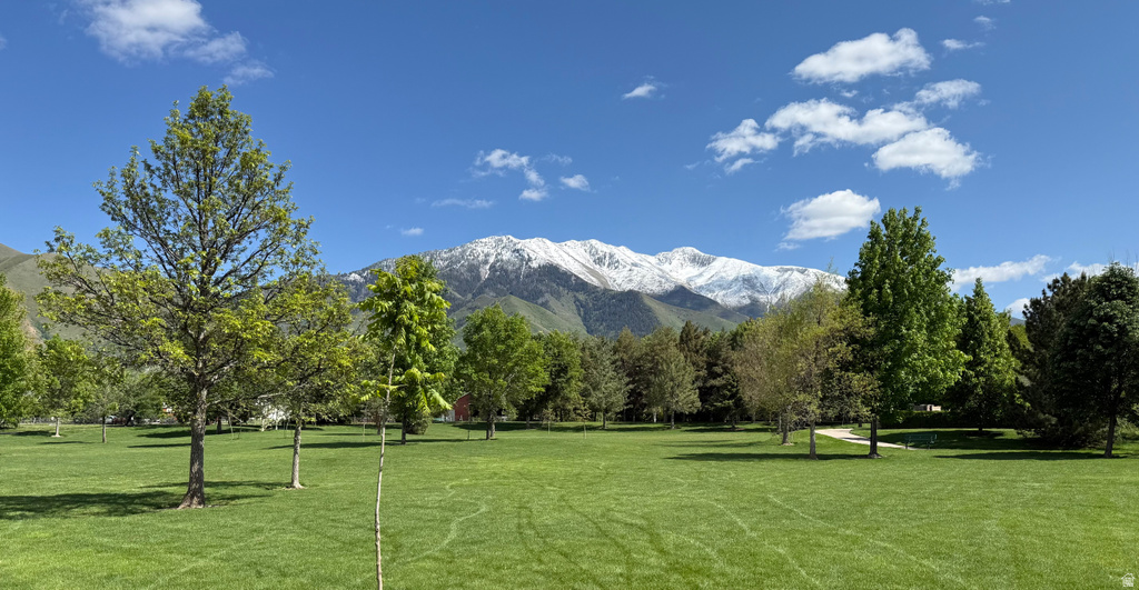 1096 VALLEY SAGE DR Springville, UT 84663