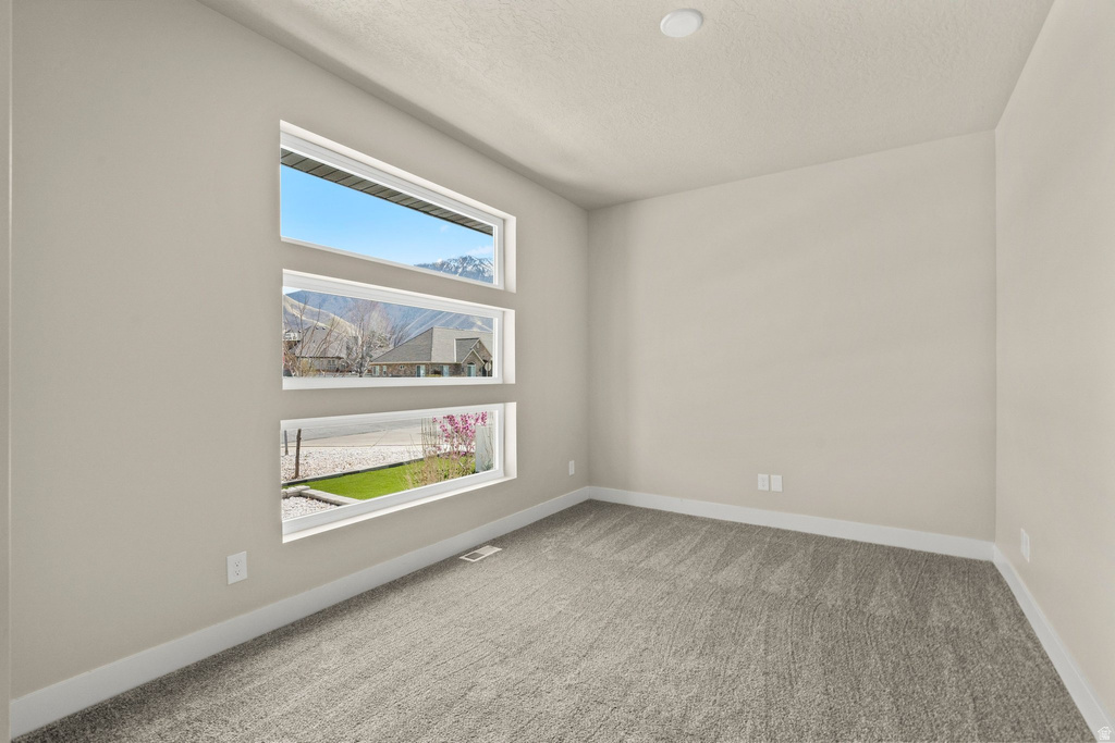 1096 VALLEY SAGE DR Springville, UT 84663