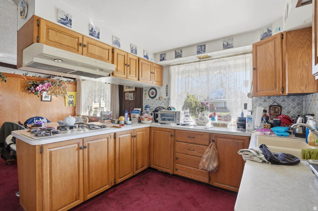 10106 S PEONY WAY Sandy, UT 84094