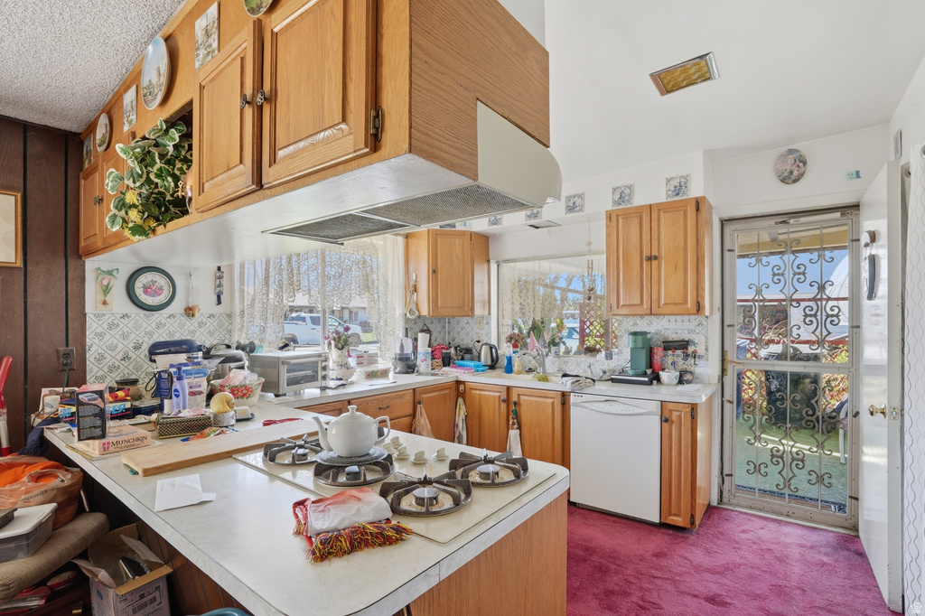 10106 S PEONY WAY Sandy, UT 84094