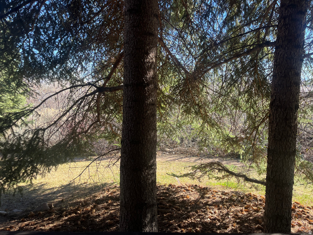 2025 CANYONS RESORT DR #V-4 Park City, UT 84098