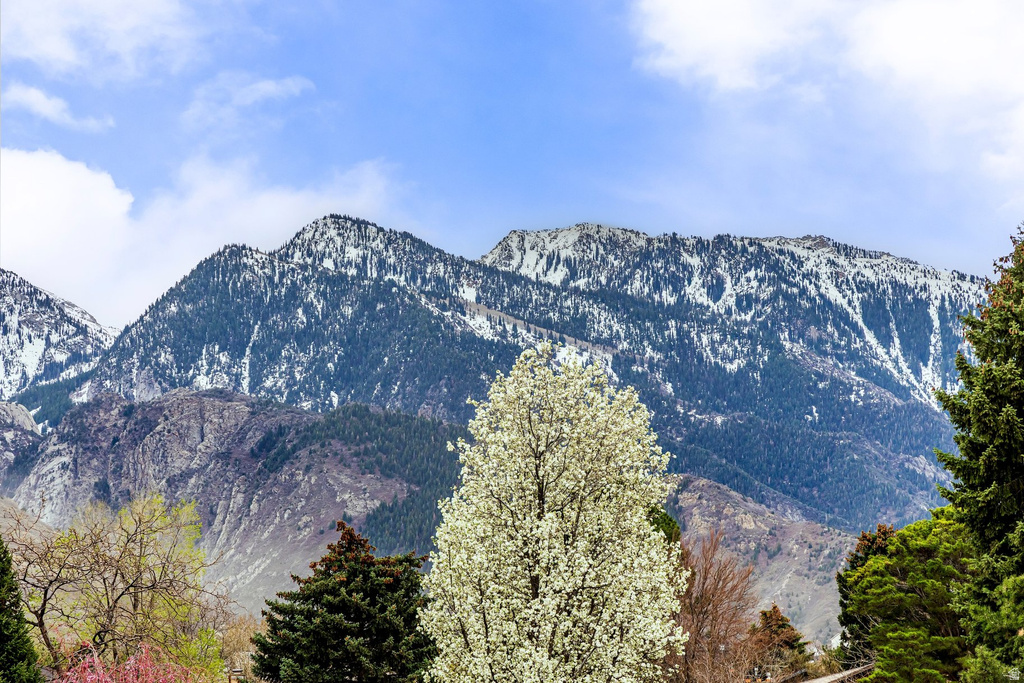 8626 S SCOTTISH DR Cottonwood Heights, UT 84093