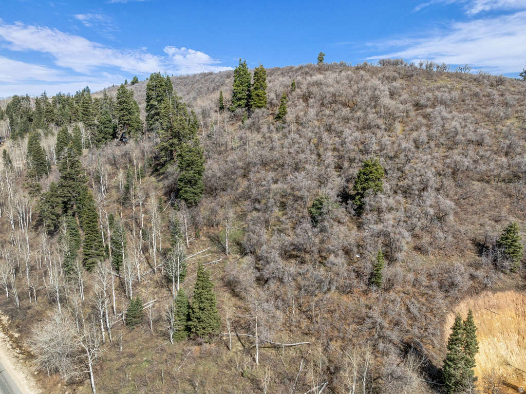 1578 W TOLLGATE CANYON RD Wanship, UT 84017