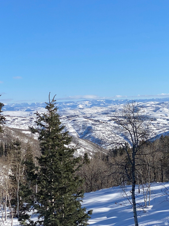 1578 W TOLLGATE CANYON RD Wanship, UT 84017