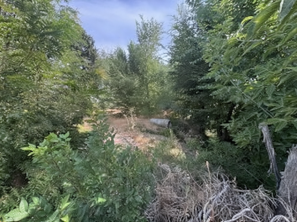 1648 E 4150 S Salt Lake City, UT 84124