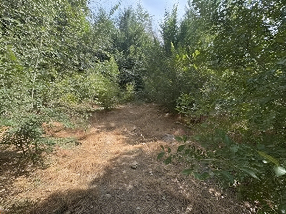 1648 E 4150 S Salt Lake City, UT 84124