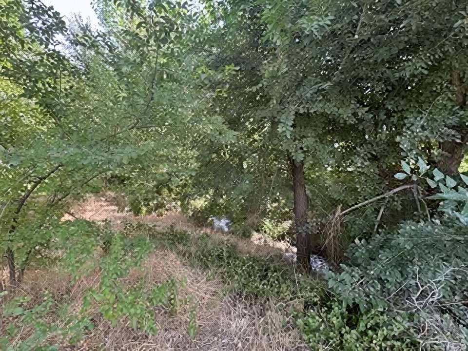 1648 E 4150 S Salt Lake City, UT 84124