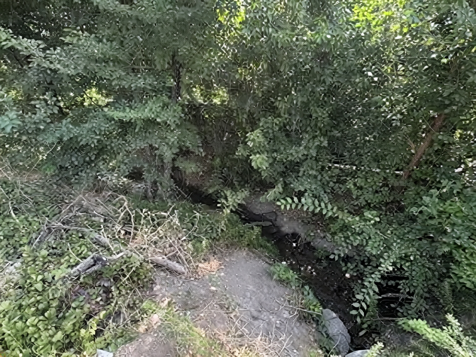 1648 E 4150 S Salt Lake City, UT 84124