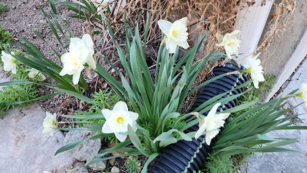 863 COUNTRY CLUB DR Stansbury Park, UT 84074