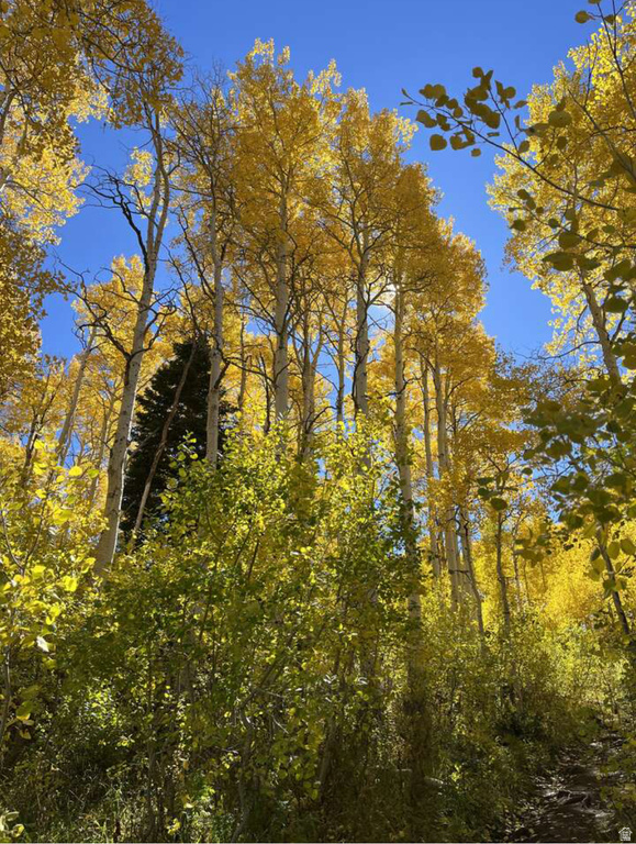 4410  FAWN WAY Heber City, UT 84032