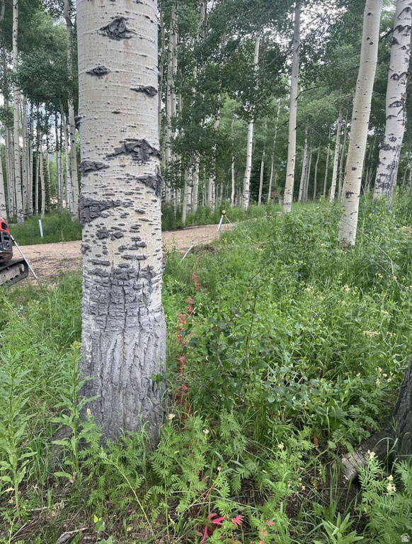 4410  FAWN WAY Heber City, UT 84032