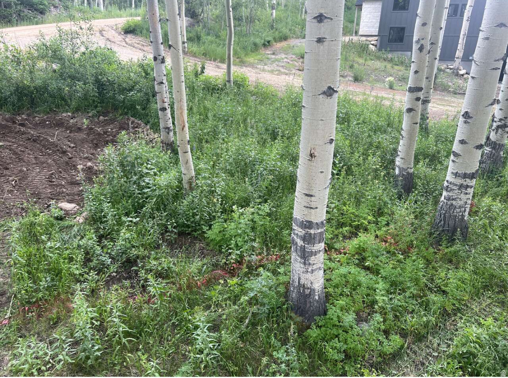 4410  FAWN WAY Heber City, UT 84032