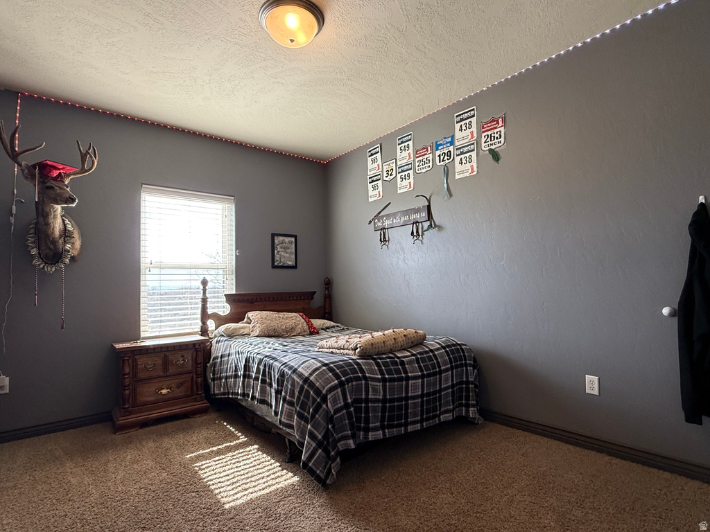 9755 E 4000 N Lapoint, UT 84039