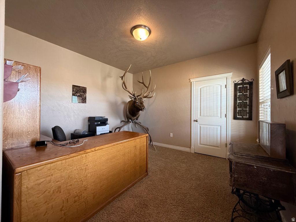 9755 E 4000 N Lapoint, UT 84039