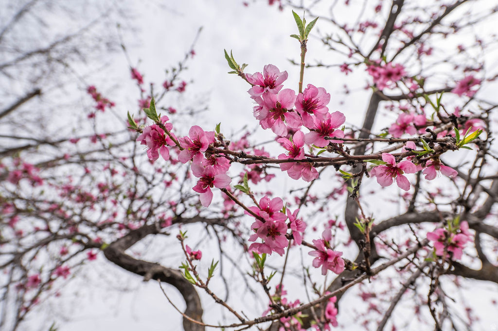 4963 S 2275 W Roy, UT 84067