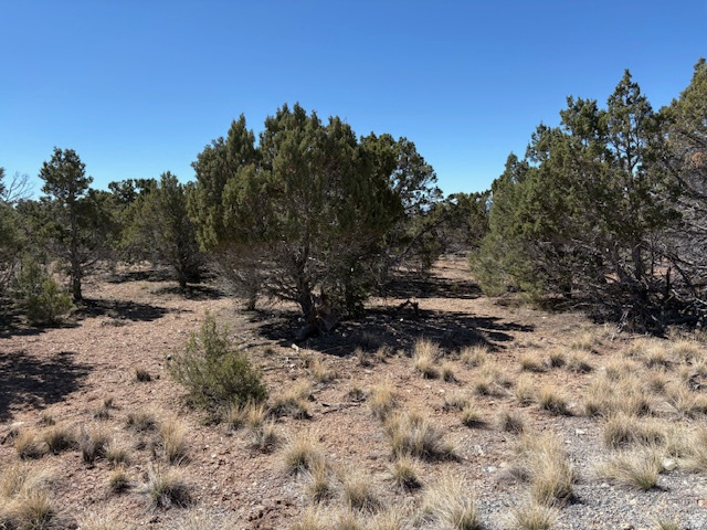 3500 N 1050 E Beaver, UT 84713