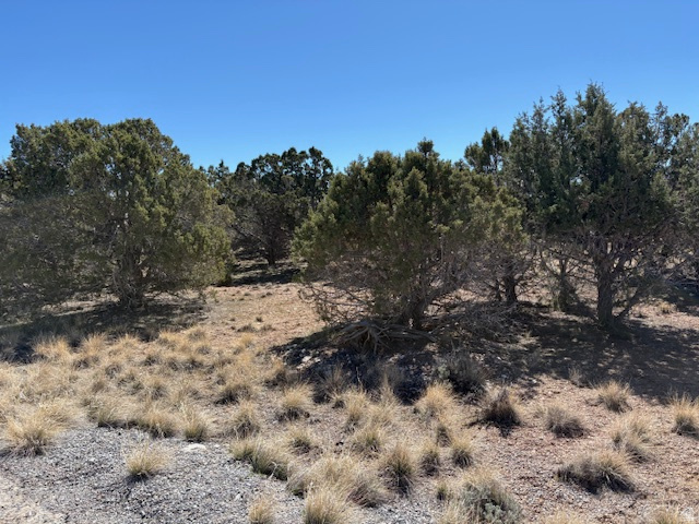 3500 N 1050 E Beaver, UT 84713