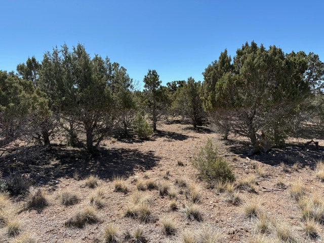 3500 N 1050 E Beaver, UT 84713