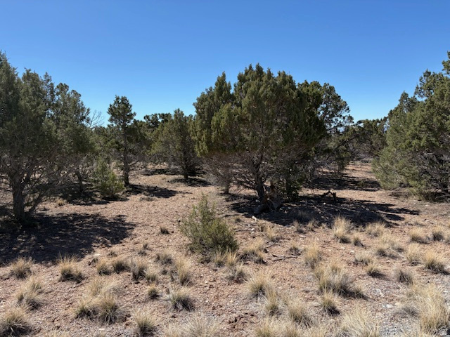 3500 N 1050 E Beaver, UT 84713