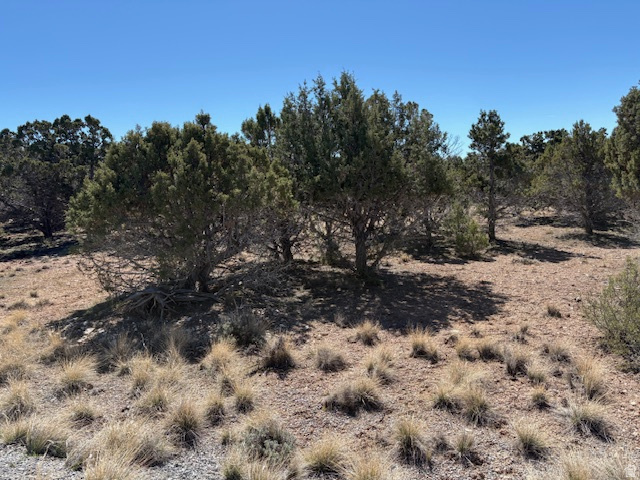 3500 N 1050 E Beaver, UT 84713