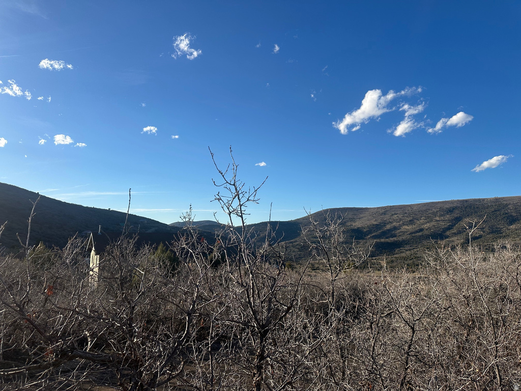 1707 S COTTONWOOD CT Heber City, UT 84032