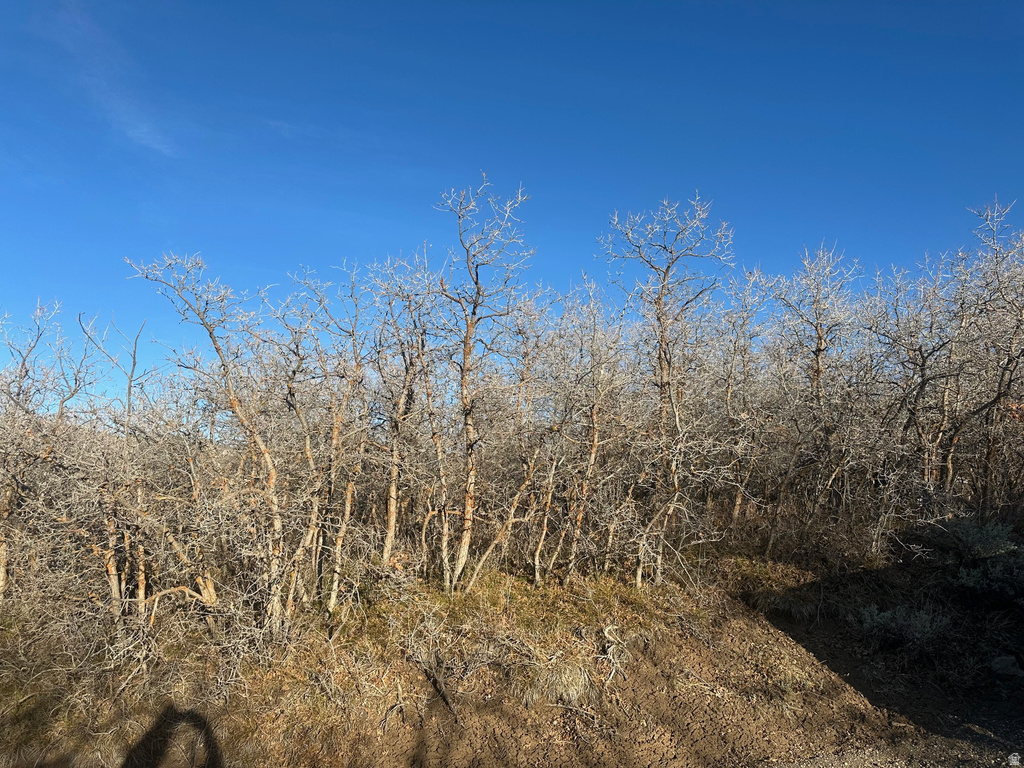 1707 S COTTONWOOD CT Heber City, UT 84032