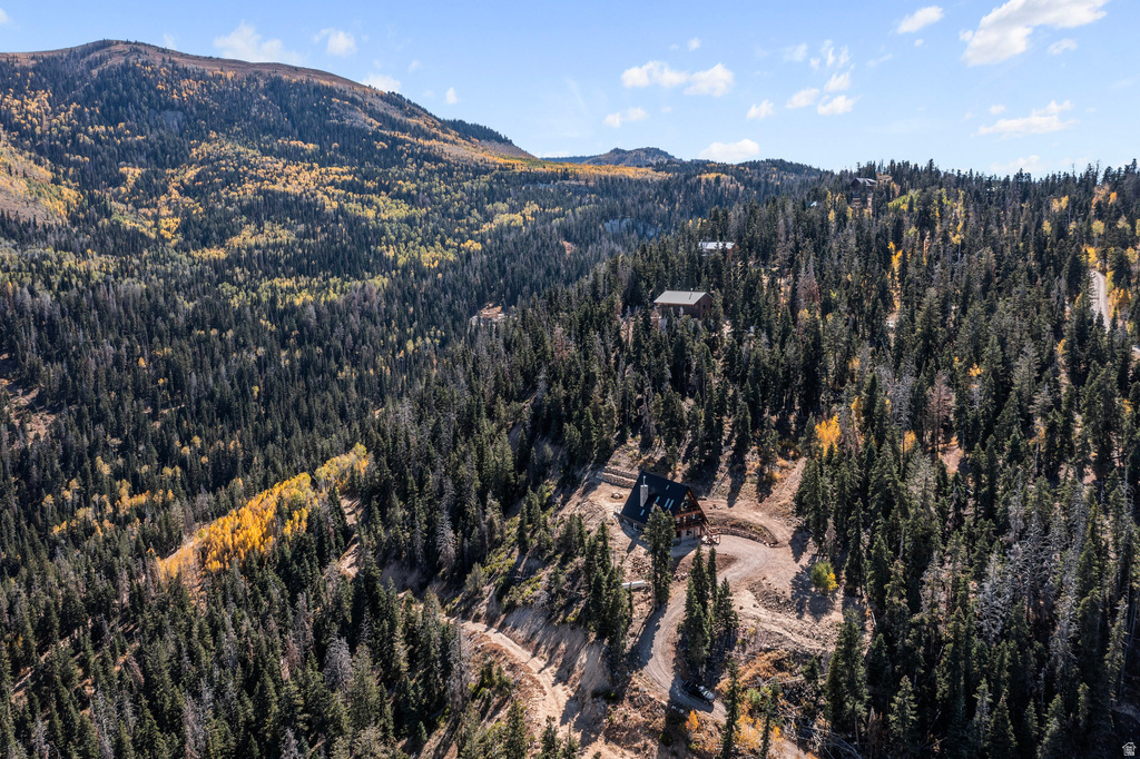 13464 N 12621 E #22 Mt Pleasant, UT 84647