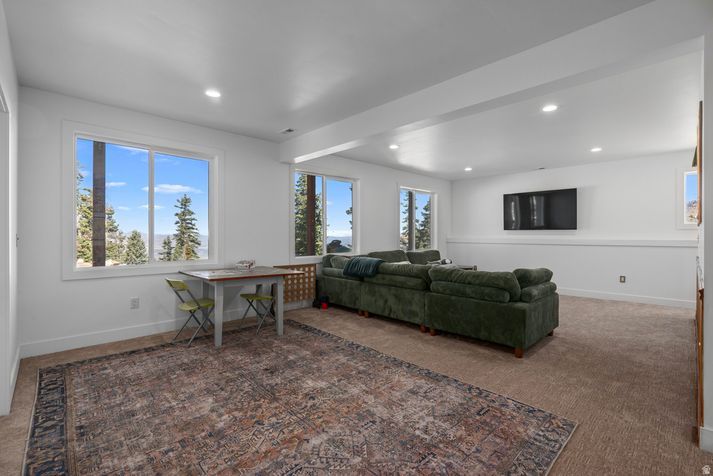 13464 N 12621 E #22 Mt Pleasant, UT 84647