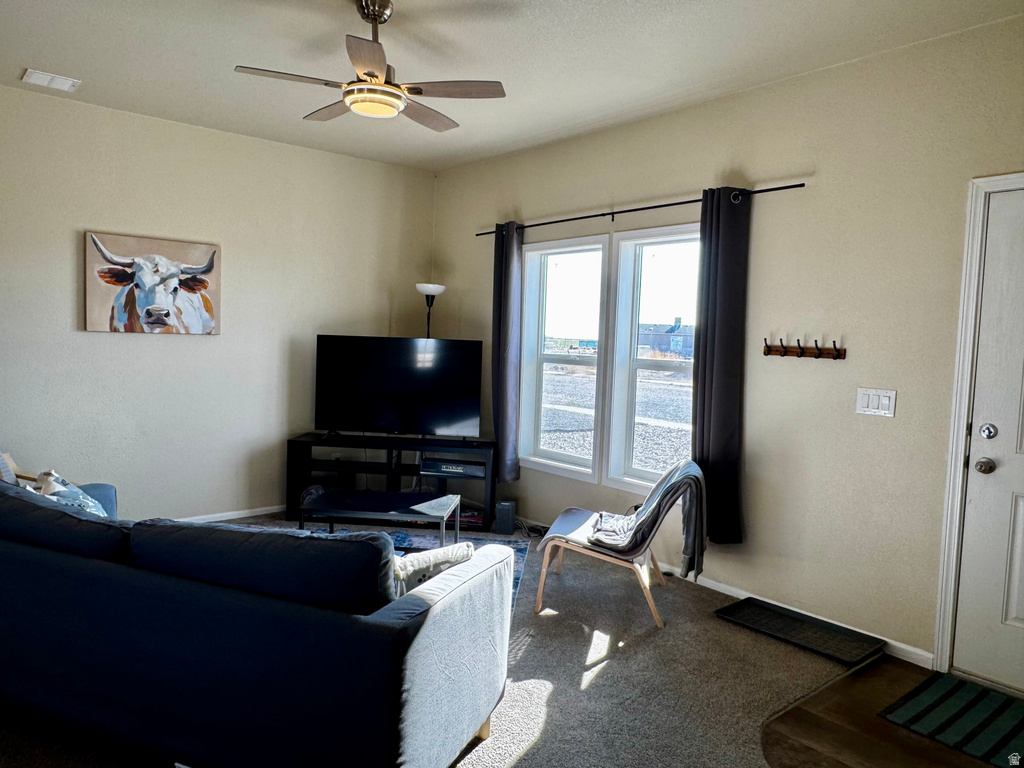 33 S 800 W Hinckley, UT 84635