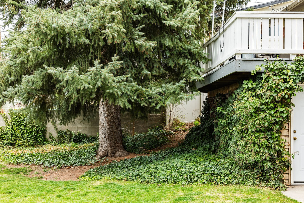 4160 S 2700 E Holladay, UT 84124