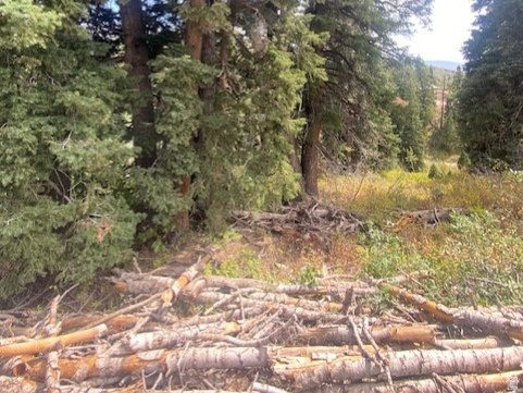 2393 S NAVAJO DR Coalville, UT 84017