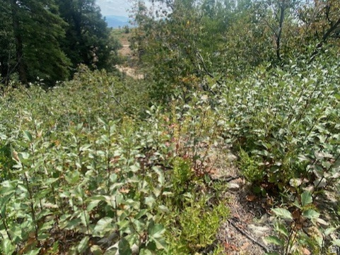 2393 S NAVAJO DR Coalville, UT 84017