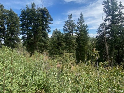 2393 S NAVAJO DR Coalville, UT 84017