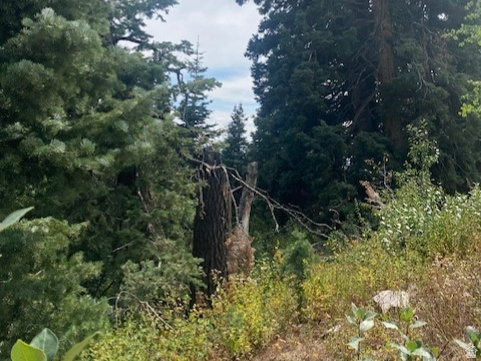 2393 S NAVAJO DR Coalville, UT 84017