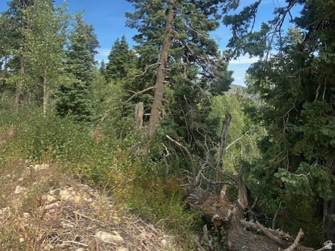 2393 S NAVAJO DR Coalville, UT 84017