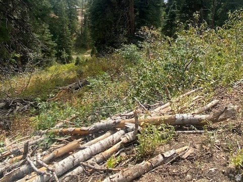 2393 S NAVAJO DR Coalville, UT 84017