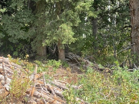 2393 S NAVAJO DR Coalville, UT 84017