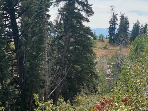 2393 S NAVAJO DR Coalville, UT 84017