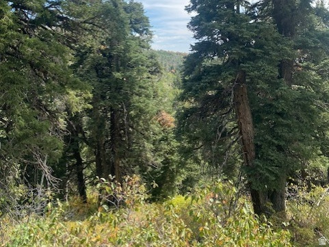 2393 S NAVAJO DR Coalville, UT 84017