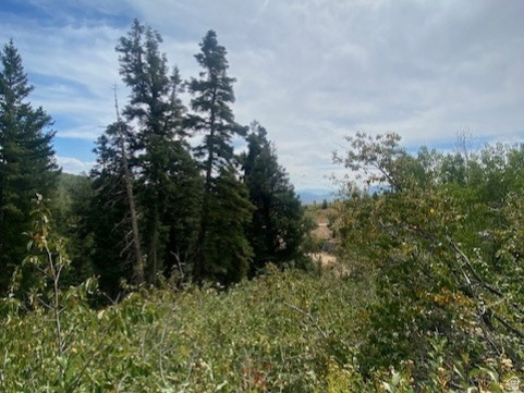 2393 S NAVAJO DR Coalville, UT 84017