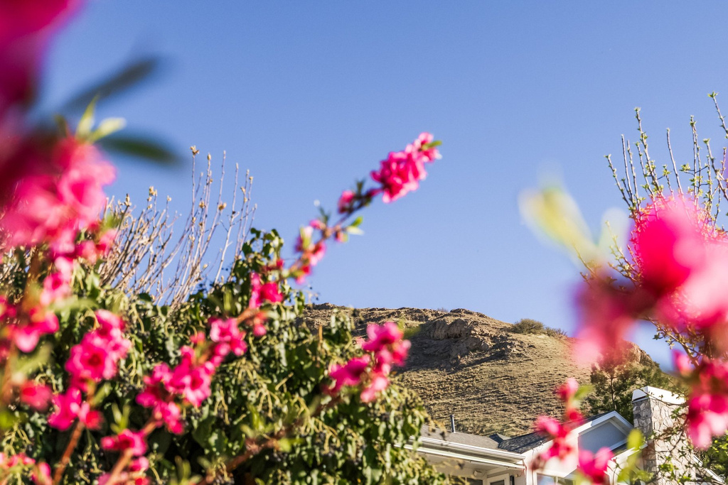 195 E NORTH SANDRUN RD Salt Lake City, UT 84103