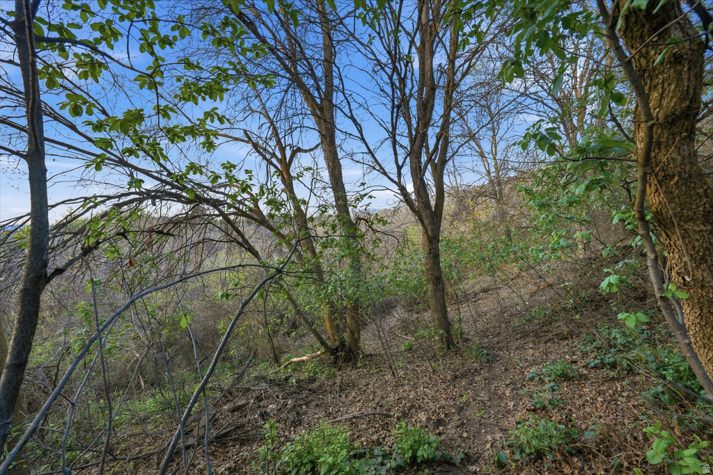 1109 E SHERWOOD DR Kaysville, UT 84037