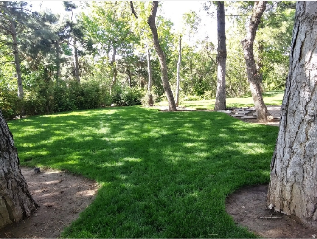 1109 E SHERWOOD DR Kaysville, UT 84037