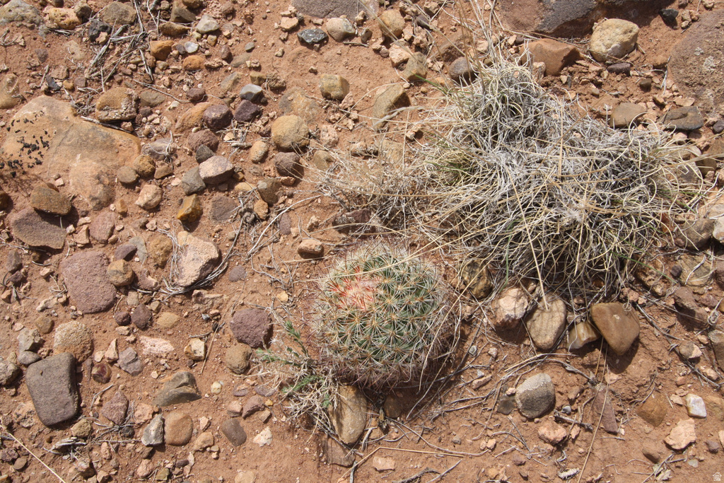 10495 E 7750 N Lapoint, UT 84039